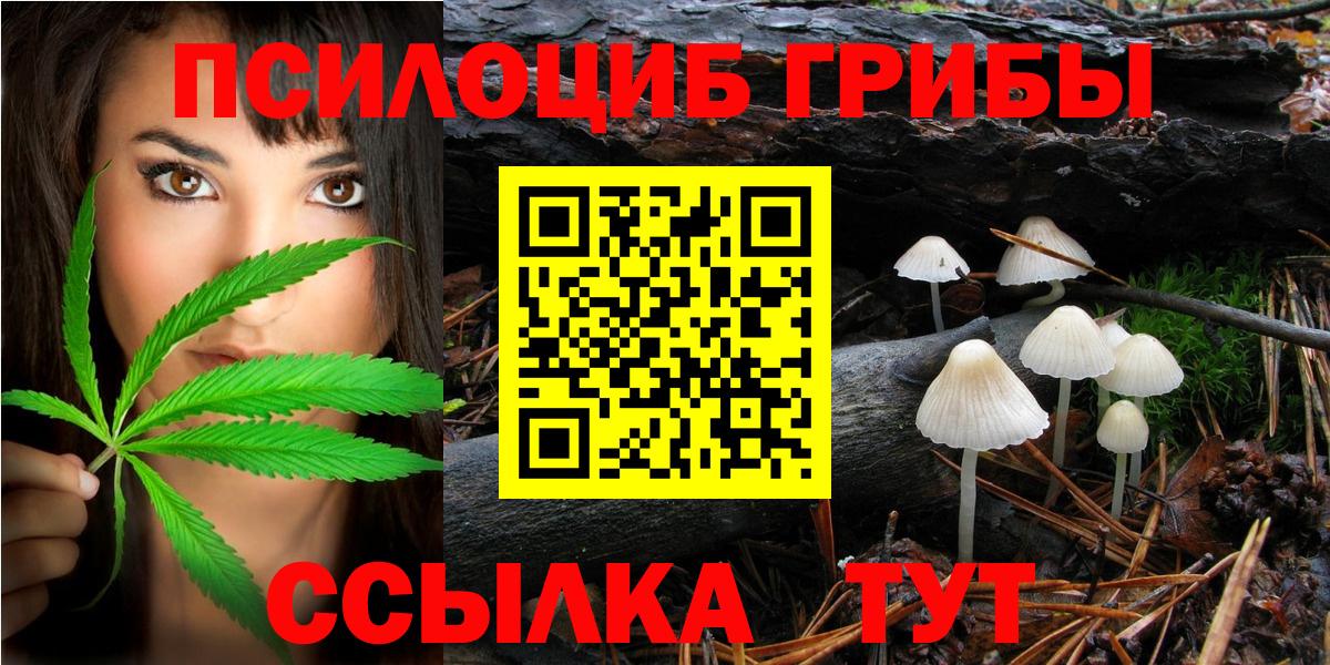 как найти наркотики  Вход с VPN  Сухой Лог  Псилоцибиновые грибы GOLDEN TEACHER 