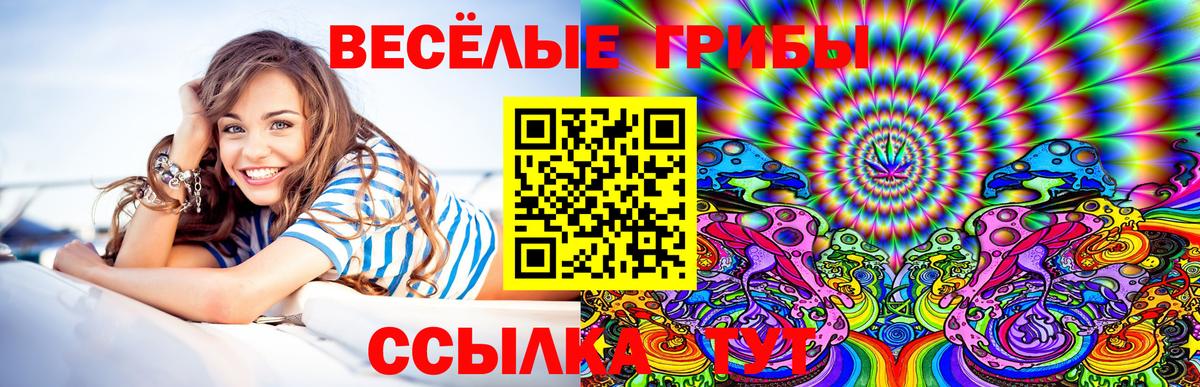 Псилоцибиновые грибы Psilocybe Сухой Лог